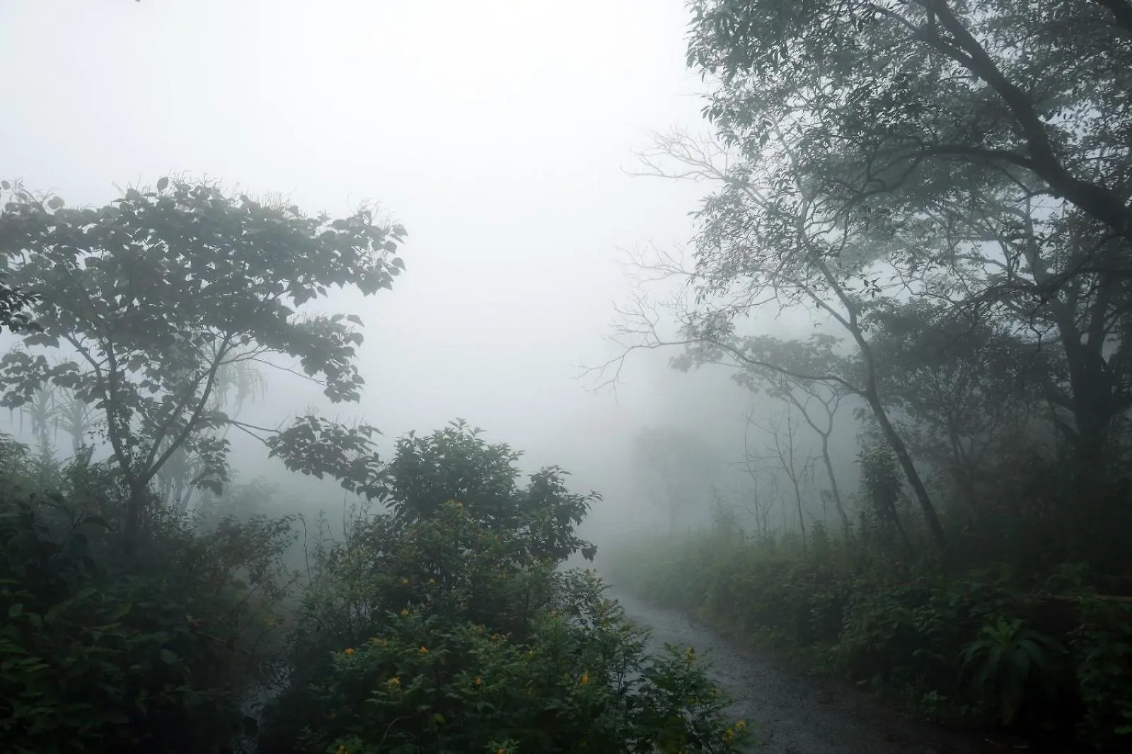 Jia Hill View Rooms Vagamon 0*,  India